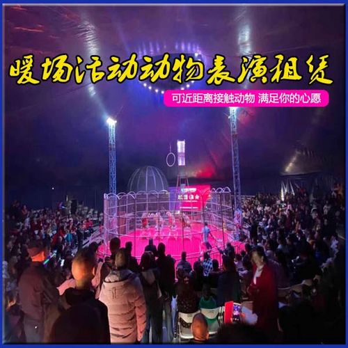 梦幻杂技专场表演出租 马戏团表演 动物表演租赁 大型活动方案