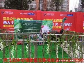江西石城当地羊驼动物出租公司
