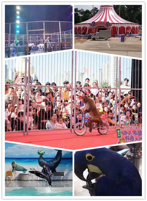 丹阳出租海洋生物鱼缸展惊爆眼球