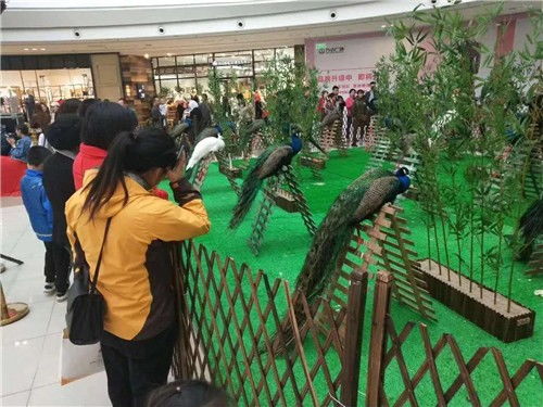 大庆市对外马戏团表演出租大型庆典