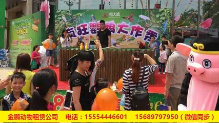 哪有呆萌马戏团表演出租赤壁市_山东金鹏动物租赁 - 商国互联网