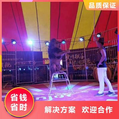 哪有出租动物的免费策划