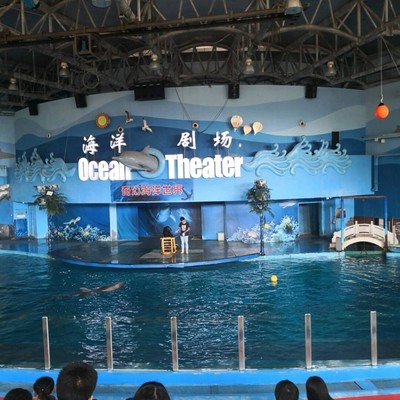 太原市附近哪里有出租海狮表演的附近海洋展出租哪里有