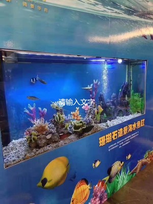 公 主岭马戏团表演出租有没有