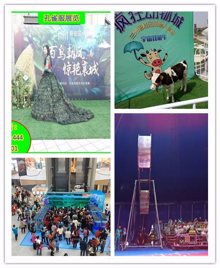 洛阳市出租马戏团表演亲子互动