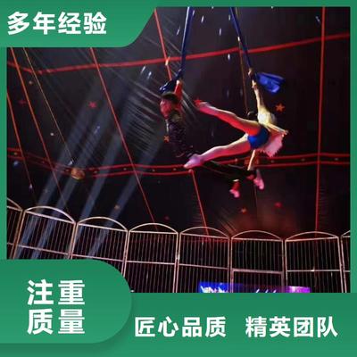 马戏团表演租赁庆典活动