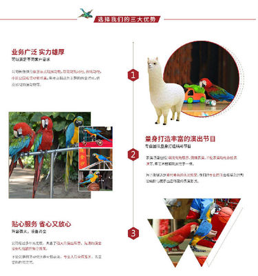 动物表演租赁公司,创意马戏团表演