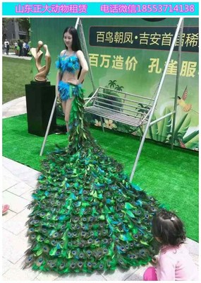 陕西大型马戏团表演出租 羊驼海狮萌宠出租 动物展览出