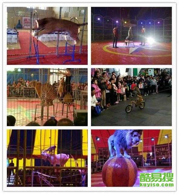 南京酷易搜