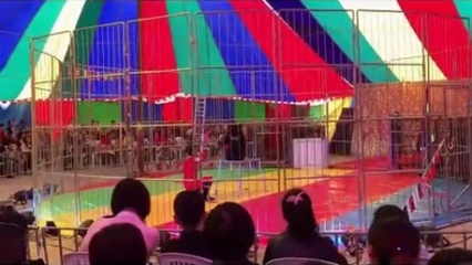 四川哪里有马戏团表演出租26