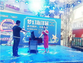 口碑好的海狮租赁公司推荐,海狮表演渠道