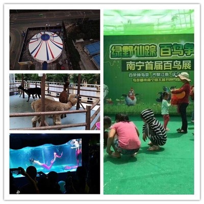 浙江省皇家马戏团表演出租租赁海洋展