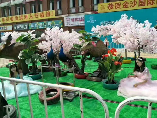 宿迁市皇家大马戏团表演出租哪里有