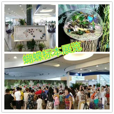 对外出租马戏团杂技演出 全国供应_设备租售_演艺吧_中华演出网