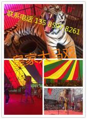【(1图)北海哪里有马戏团表演出租】- 北海其他生活服务 - 北海列举网
