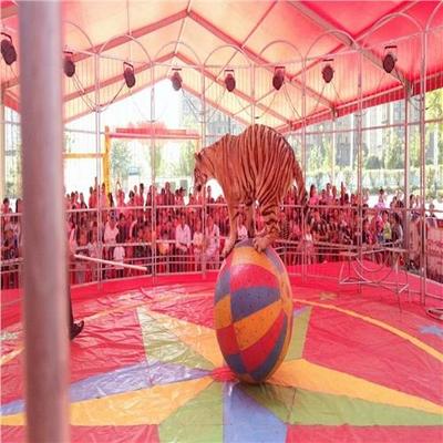 环球飞车表演出租一手资源三天多少钱郊区