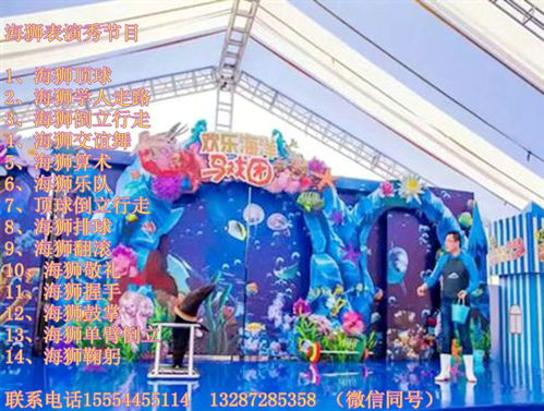桂平哪里有出租马戏团演出服务