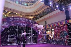 深圳哪里有马戏团演出马戏团表演厂家|供应商|公司_一呼百应移动站