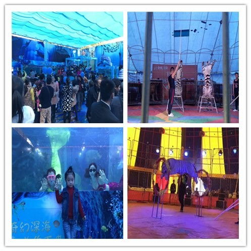 宜昌市哪里有萌宠展对外出租