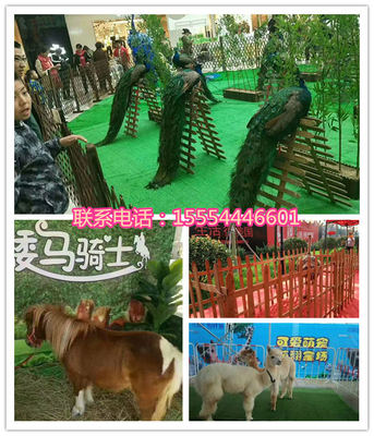 附近哪有马戏团表演出租都匀市人员杂技租赁