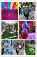 毕节区大方县海洋观赏鱼展览租赁