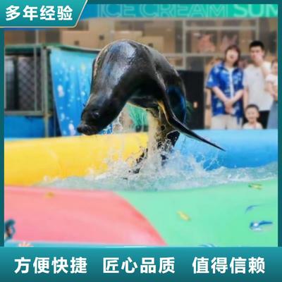 海洋主题动物表演-企鹅出租讲究信誉
