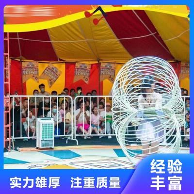马戏团羊驼与企鹅表演租赁 冰雕展出的精彩合作机会