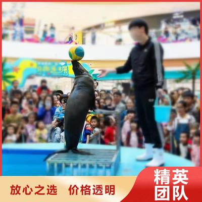 宁德市霞浦县辖区内杂耍演出与动物展览服务介绍