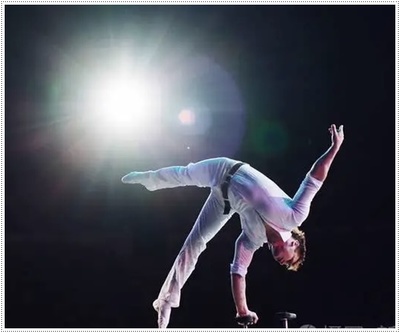 邵阳马戏团2025年度马术表演合作与租赁方案