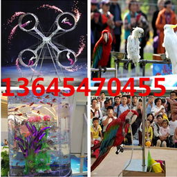 迁安市马戏团海狮表演出租服务介绍