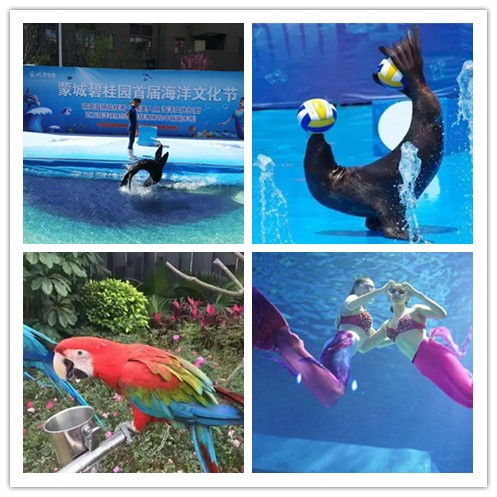 江苏省海狮表演与冰雕展出租赁服务