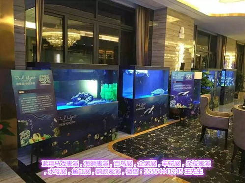 肇庆马戏团表演出租 为各类活动增添欢笑的专业选择